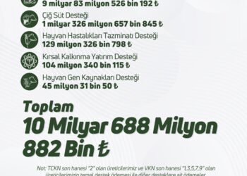 Yaklaşık 11 Milyar Liralık Destekleme Ödemesi Bugün Hesaplara Aktarılıyor