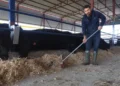 Deprem sonrası sıfırdan başladı! 3 ayda yaptıkları görenleri hayrete düşürdü