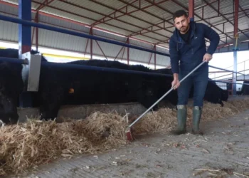 Deprem sonrası sıfırdan başladı! 3 ayda yaptıkları görenleri hayrete düşürdü 3 Deprem sonrası sıfırdan başladı! 3 ayda yaptıkları görenleri hayrete düşürdü