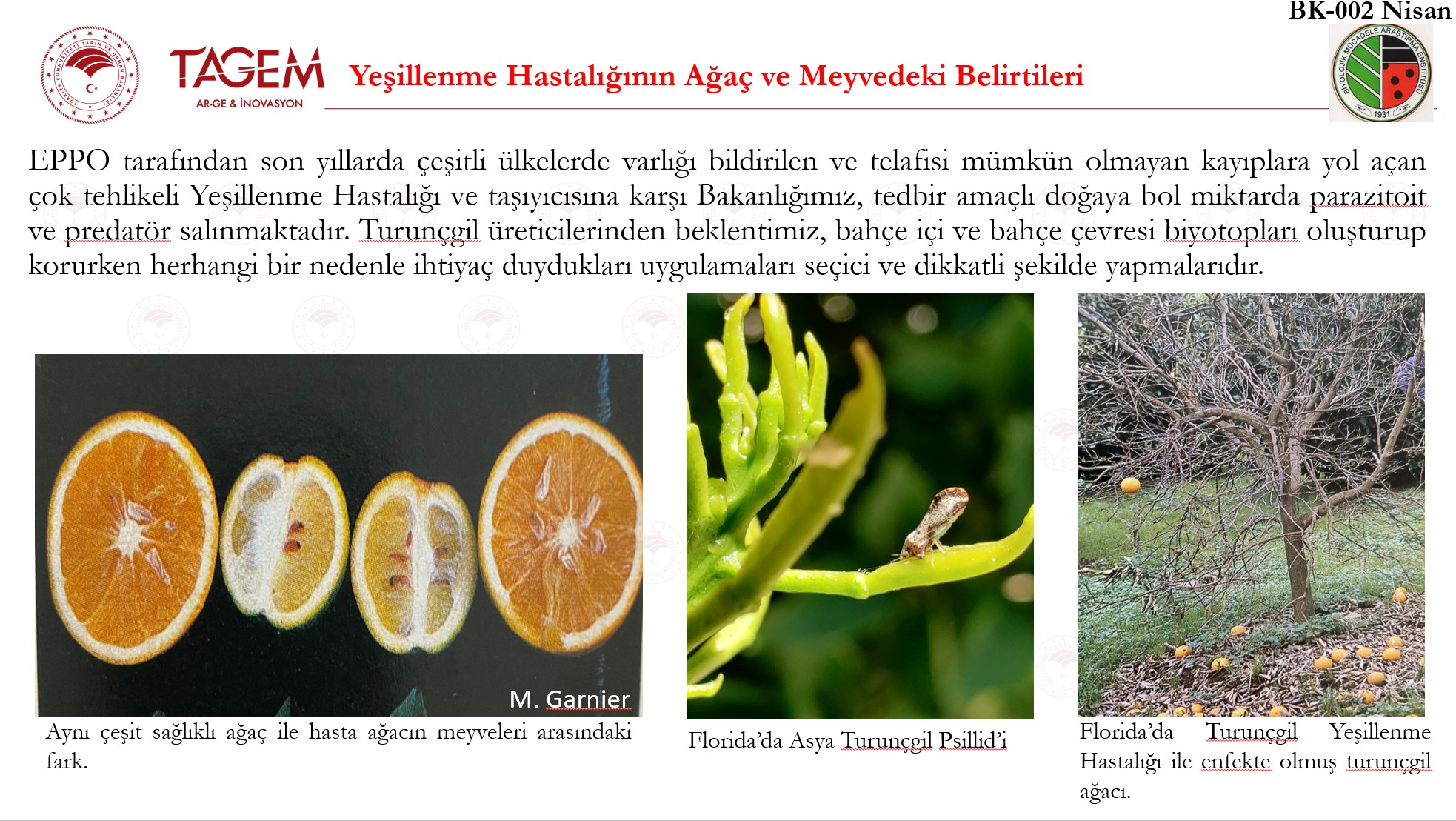 Nisan Ayı Turunçgil Tarım Takvimi 2 n1