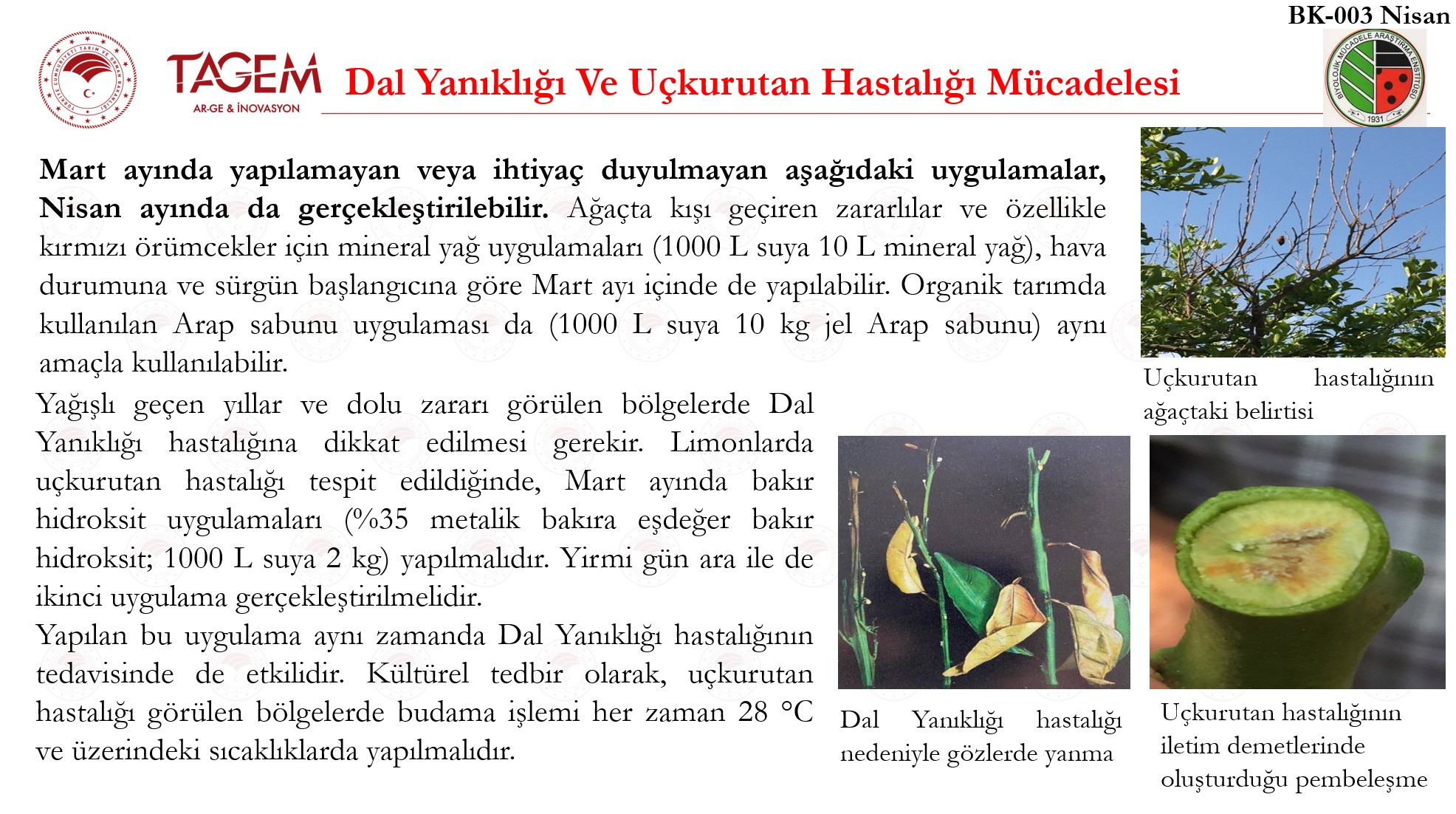 Nisan Ayı Turunçgil Tarım Takvimi 4 n3