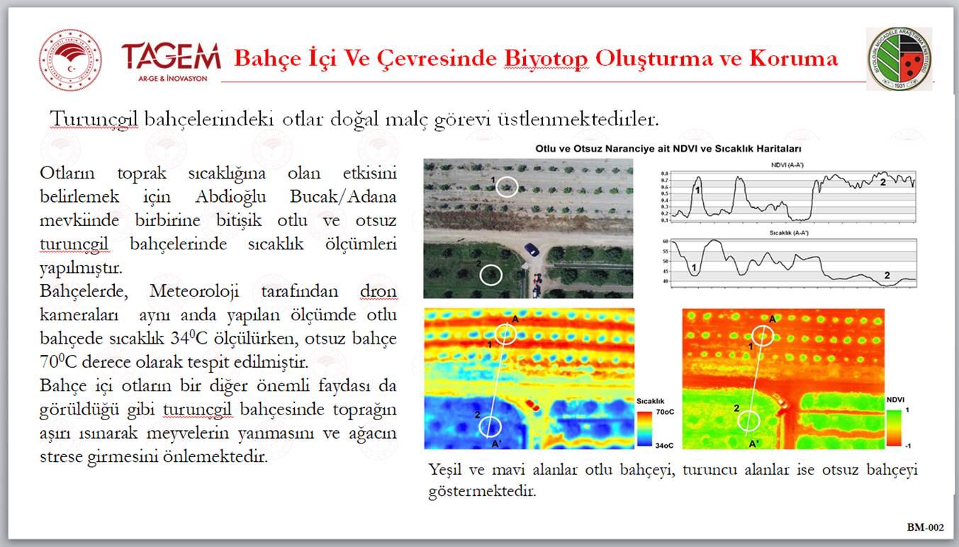 Turunçgil Üreticilerine Mart Ayı Uyarısı: Bitki Koruma ve Biyotop Yönetimi Öne Çıkıyor 3 tagem 3