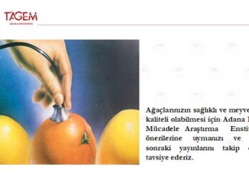 Turunçgil Üreticilerine Mart Ayı Uyarısı: Bitki Koruma ve Biyotop Yönetimi Öne Çıkıyor