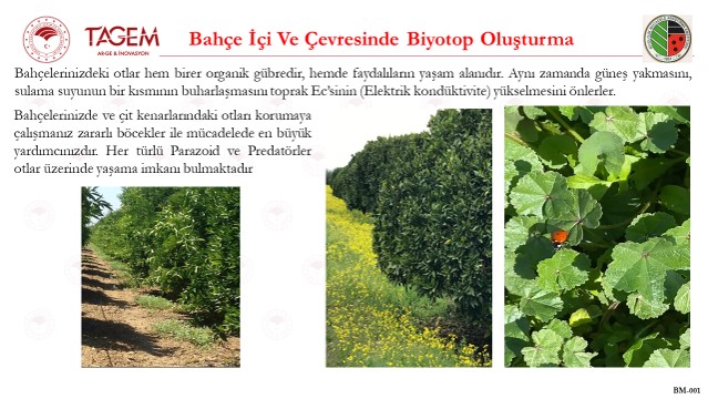 Turunçgil Üreticilerine Mart Ayı Uyarısı: Bitki Koruma ve Biyotop Yönetimi Öne Çıkıyor 4 tagem 4