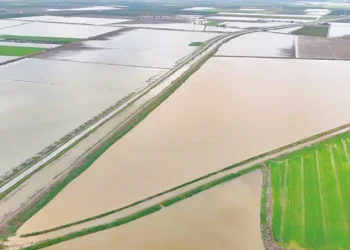 Çukurova’da 20 bin dönüm tarım arazisi sular altında