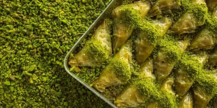 Türkiye'nin 'yeşil altın' üzerine kurulu kenti: Hayatın her dönemecinde tatlı var 1 tatli