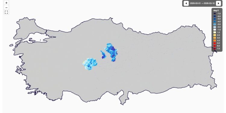 yesil mercimek