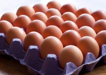 Yumurta Üretiminde Son 3 Yılın Rekoru