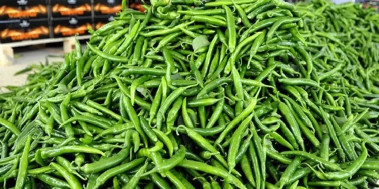 Biberin fiyati