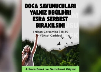 Tutuklanan Esra Işık için çağrı: ‘Doğa savunucuları yalnız değildir’
