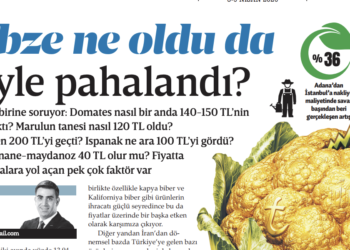 İrfan Donat: Sebze ne oldu da böyle pahalandı?