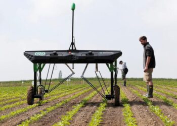 Dünyada bir ilk: Tarımın MacDonalds’ı olacak franchise çiftlik dönemi Türkiye’de başlıyor