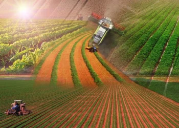 Tarımsal Bilgi Platformu’ndan 11 maddelik acil önlem çağırısı