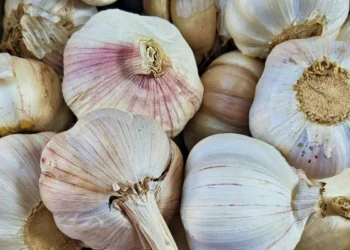 En iyi 15 sarımsak: Taşköprü üçüncü