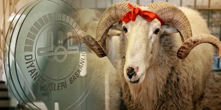 Vekaletle kurban kesim bedelleri açıklandı 1 Vekaletle kurban kesim bedelleri