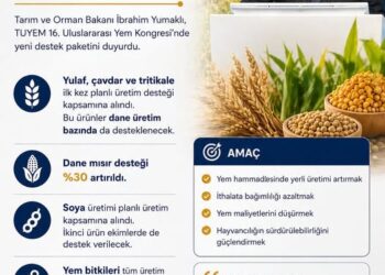 Yem maliyetlerini düşürmeye yönelik yeni destekler açıklandı