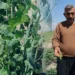 ‘Mardin canavarı’ deniyor… Tarladan çıkan fiyatı gören inanamadı
