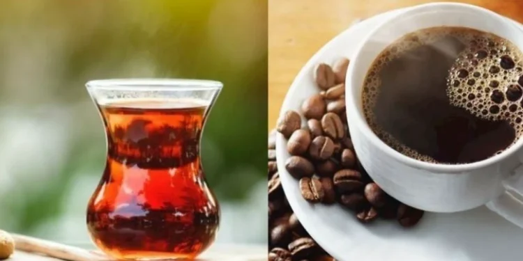 Çay ne zaman millî içeceğimiz oldu? Osmanlı'nın asıl içeceği kahveydi 1 cay kahve
