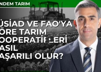 TÜSİAD ve FAO’ya Göre Tarım Kooperatifleri Nasıl Başarılı Olur?