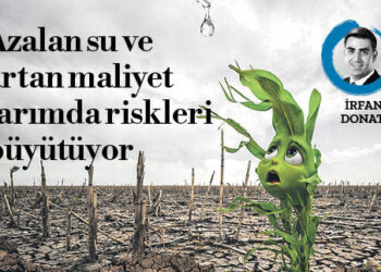 Azalan su ve artan maliyet tarımda riskleri büyütüyor