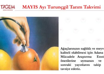 MAYIS Ayı Turunçgil Tarım Takvimi