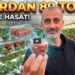 Otomotivi Bıraktı, Çiftçi Oldu! Sıfırdan 80 Tona / Topraksız Tarımda Çilek Yetiştiriciliği 8 Otomotivi Bıraktı, Çiftçi Oldu! Sıfırdan 80 Tona / Topraksız Tarımda Çilek Yetiştiriciliği