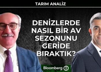 Denizlerde Nasıl Bir Av Sezonunu Geride Bıraktık? – Tarım Analiz