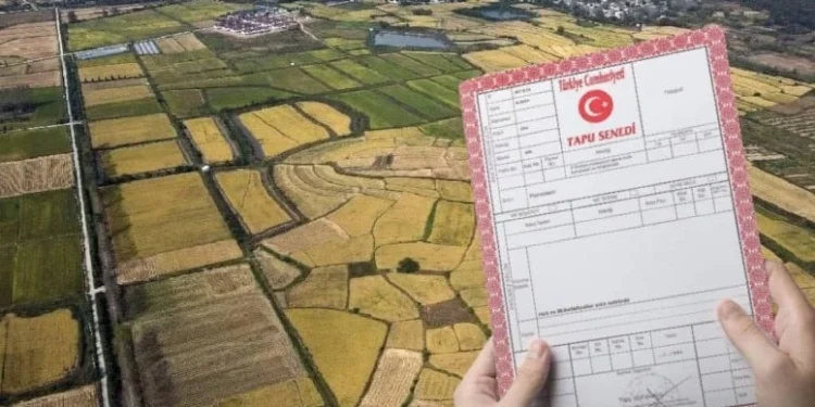 Köyünde bahçesinde böyle evi olanlara kötü haber... Birer birer yıkılacak! 1 tapu