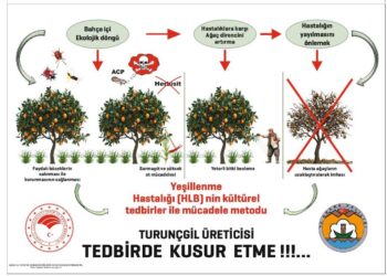 Turunçgil Üreticisi, Tedbirde Kusur Etme!!!…