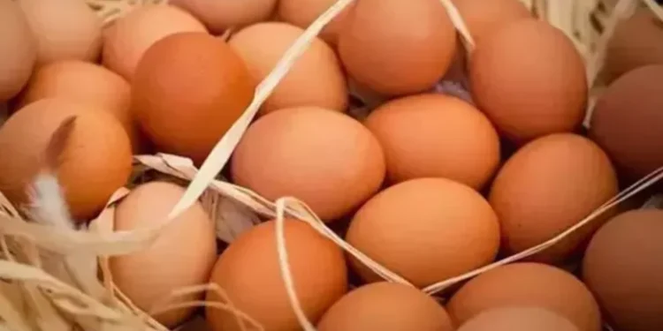Yumurta fiyatları tekrar yükselmeye başladı 1 yumurta fiyatlari
