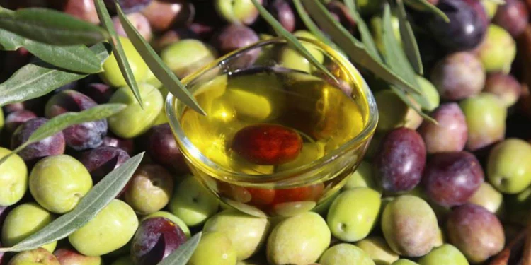 40 yıllık firma iflasın eşiğinde 1 zeytin