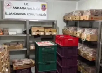 Sofralık değil skandallık! 40 ton kaçak et operasyonu