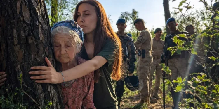 Çiğden Toker Akbelen olayı: Bir sistem fotoğrafı 1 Akbelen olayi