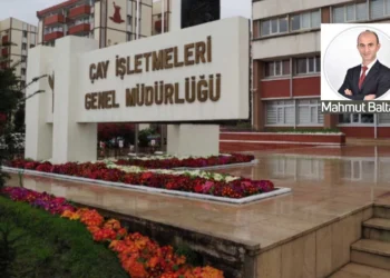 ÇAYKUR’dan Rizeli çay çiftçisine şok dava! “Hakkımızı isteyince mahkemeye verdiler”