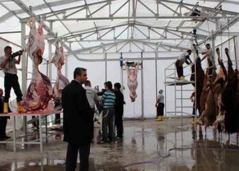 Kurban Bayramı için gıda güvenliği ve halk sağlığı uyarısı!