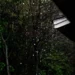 Sağanak bekleniyor: Üçü sarı kodlu 32 ile uyarı