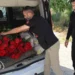 Serada Kalan Güller Anneleri Ağlattı: İlk Kez Gül Aldılar! 5 Serada Kalan Güller Anneleri Ağlattı: İlk Kez Gül Aldılar!