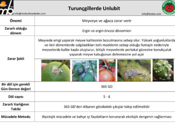 Turunçgillerde Unlubitler