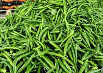 Ergin Kahveci: EFSA (Avrupa Gıda Güvenliği Otoritesi) 2024 Pestisit Kalıntıları Raporunda Türkiye ayrıntısı…