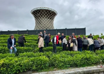 Dünya Çay Günü’nde ilk hasat heyecanı