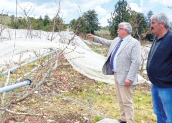 Borç batağındaki çiftçiye ekspertiz şoku