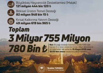 3.7 Milyar Liralık Destekleme Ödemesi Hesaplara Aktarılıyor