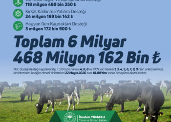 6.4 Milyar Liralık Destekleme Ödemesi Hesaplara Aktarılıyor