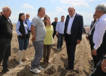 Başkan Erkoyuncu patates ekimine katıldı: Bağımlılık bitiyor, kapasite artıyor! 3 Başkan Erkoyuncu patates ekimine katıldı: Bağımlılık bitiyor, kapasite artıyor!