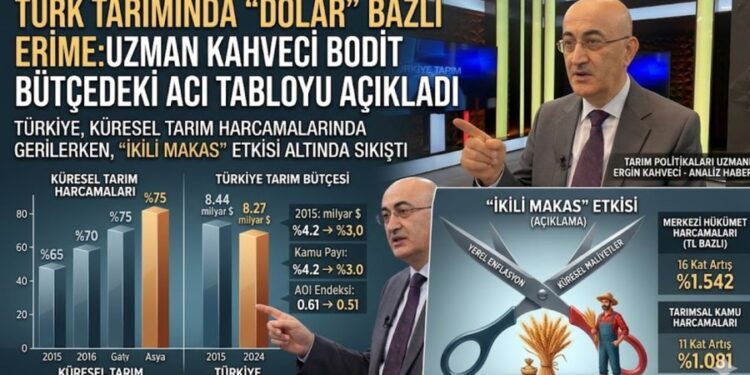 Tarım Bütçesinde "Makas" Tehlikesi: Türkiye Küresel Ortalamanın Gerisinde mi Kalıyor? 1 makas