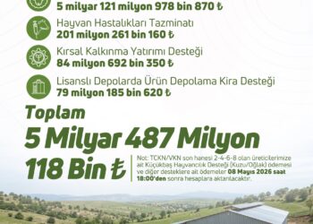 5.4 Milyar Liralık Destekleme Ödemesi Hesaplara Aktarılıyor