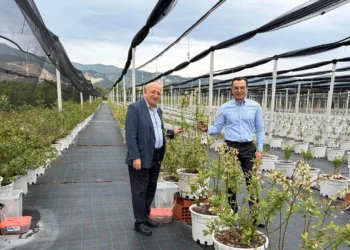 10 bin dolarla yola çıkıp Yunan pamuğu lideri oldu, Türkiye’den Çin’e pamuk satıyor