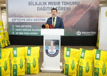 750 çiftçiye silajlık mısır tohumu dağıtıldı