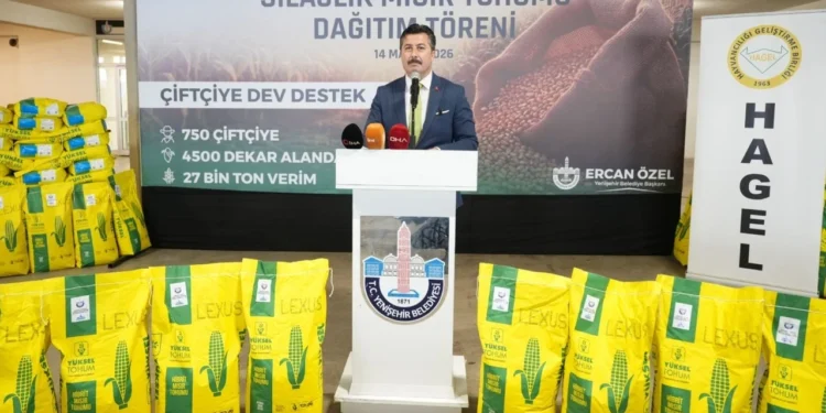 750 çiftçiye silajlık mısır tohumu dağıtıldı 1 silajlik misir tohumu
