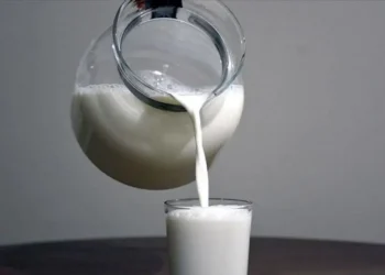 Kişi başına tüketim 39 kilo